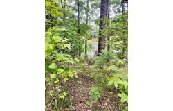 Aiken Street, Leesville, SC 29060