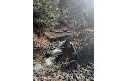 Flying Eagle Lot 19, Harrison, ID 83833