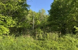 Farm Road 2285, Seligman, MO 65745