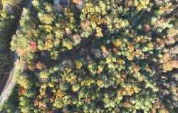 Bear Den Rd, Townsend, TN 37882
