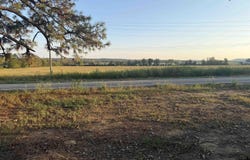 559 Highway 124, Pangburn, AR 72121