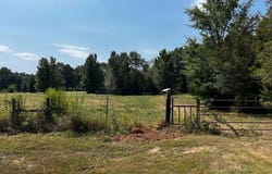 FM, Avery, TX 75554