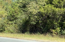 S Main St, Rocky Mount, VA 24151