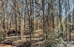 02 Lurecliff Place, Fort Mill, SC 29708