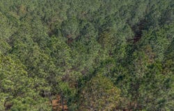 Ben Giddens Road lot: 3, Eastman, GA 31023