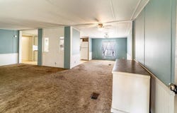 24031 ARMADILLO Road, ASTOR, FL 32102