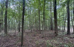 18 County Road 48, Ranburne, AL 36264