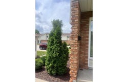 700 E Genesee Street, Frankenmuth, MI 49734