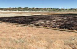 11 Between Loken & 7th Standard Road, Buttonwillow, CA 93206