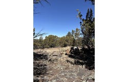 239 Geronimo Dr, Concho, AZ 85924