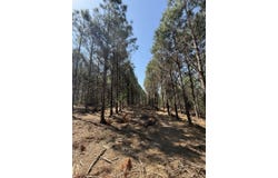 Lincoln Springs Rd, Gladewater, TX 75647