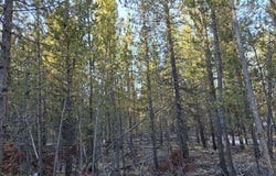 16852 ELSINORE RD, Bend, OR 97707