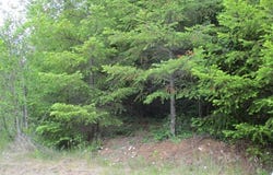 Gruber N Rd, Estacada, OR 97023
