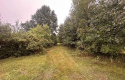 DAYTON Road, WAUPACA, WI 54981