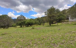 105 Comanche Crest, Fort Davis, TX 79734
