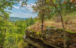 Split Rail Way lot: 1358, Guild, TN 37340