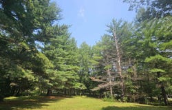 Berkshire Drive lot: 57, Gladwin, MI 48624
