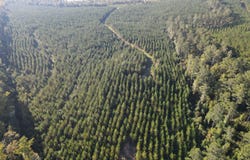 Kilpatrick Rd Tract 1D, Eatonton, GA 31024