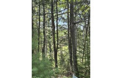 Henry Creek Way, Harpswell, ME 04079