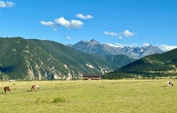 106 Buffalo Trail Road, Livingston, MT 59047