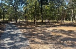 61 SHADY OAKS LANE, Viola, AR 72583