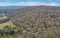 Shellotte Loop, Pall Mall, TN 38577