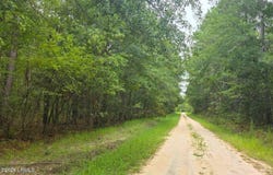 Wade Hampton Road, Hampton, SC 29924
