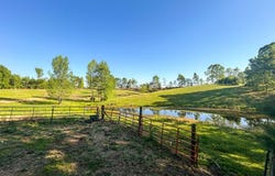1185 Blackburn Rd., MCKENZIE, TN 38201