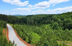2070 Winding Tr, Vonore, TN 37885