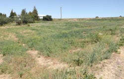 E A St, Rosalia, WA 99170