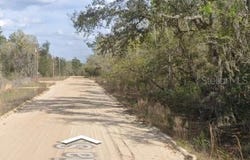 CLAUDIA Street, INTERLACHEN, FL 32148