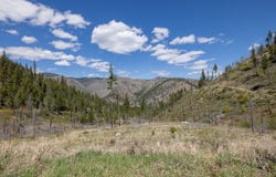 Lolo, MT 59847