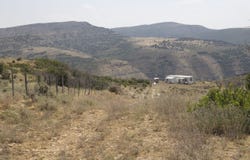TBD County Road 47, Hamilton, CO 81638