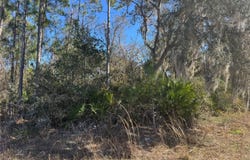 GRACE Avenue, DELAND, FL 32720