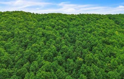 Ravens Ridge Road, Pearisburg, VA 24134