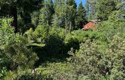 40902 Wild Iris Ln, Shaver Lake, CA 93664