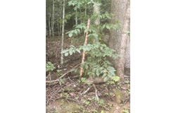 Suttons Rd, Sevierville, TN 37876