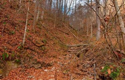 Parsons Drive, Mullens, WV 25882