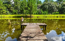 19359 Forest Road 219, Richards, TX 77873
