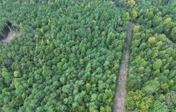 DOSS Rd, Winfield, AL 35594