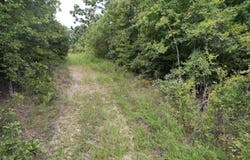 County Road 76-126, Ava, MO 65608