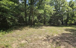 22695 CR 223, Arp, TX 75750