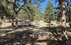 565 Hayhook Way, Hartsel, CO 80449