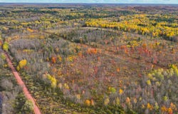 12729N DUPONT RD, Hurley, WI 54534