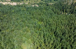 2nd St, Oakridge, OR 97463
