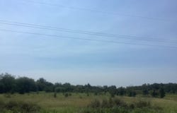 Fm 712, Marlin, TX 76661