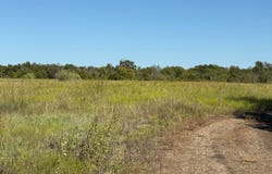 204 Forest Lane, Hillsboro, TX 76645