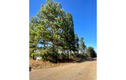 1407 Miller County 3, Doddridge, AR 71834
