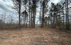 TBD #1 Koecher Road, Kerrick, MN 55756