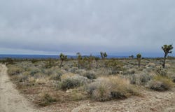 202nd St E & Ave X4, Llano, CA 93544
